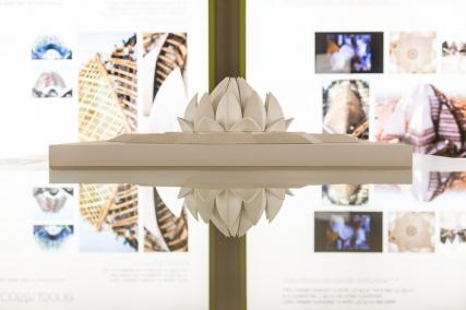 Lótusmusterið á Indlandi var byggt úr ítölskum marmara