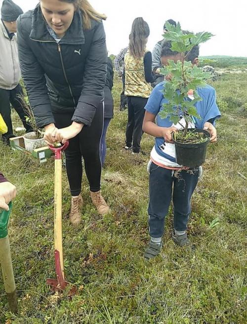 Börn og fullorðnir unnu saman að því að koma plöntunum á sinn stað.