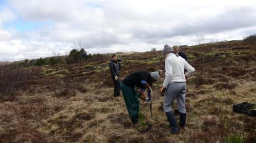 Stúlkurnar nutu þess að planta trjám á þessum fallega stað
