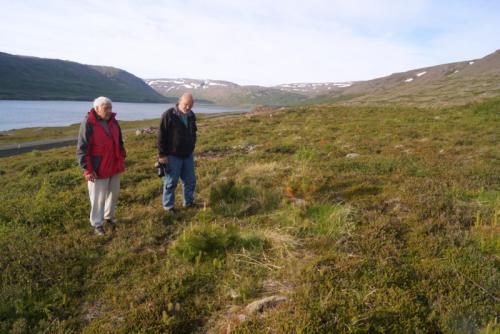Böðvar Jónsson (til vinstri) og Eðvarð T. Jónsson huga að ástandi ungra trjáa að Skógum í Þorskafirði