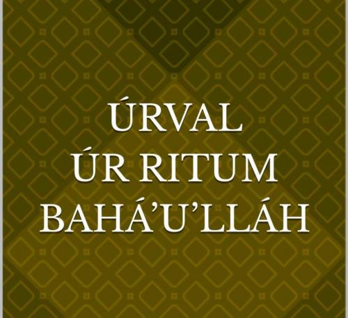 Einn þeirra titla sem finna má í vefbókasafninu.